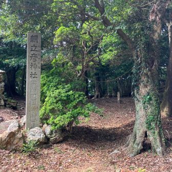 ここから登山道へ
