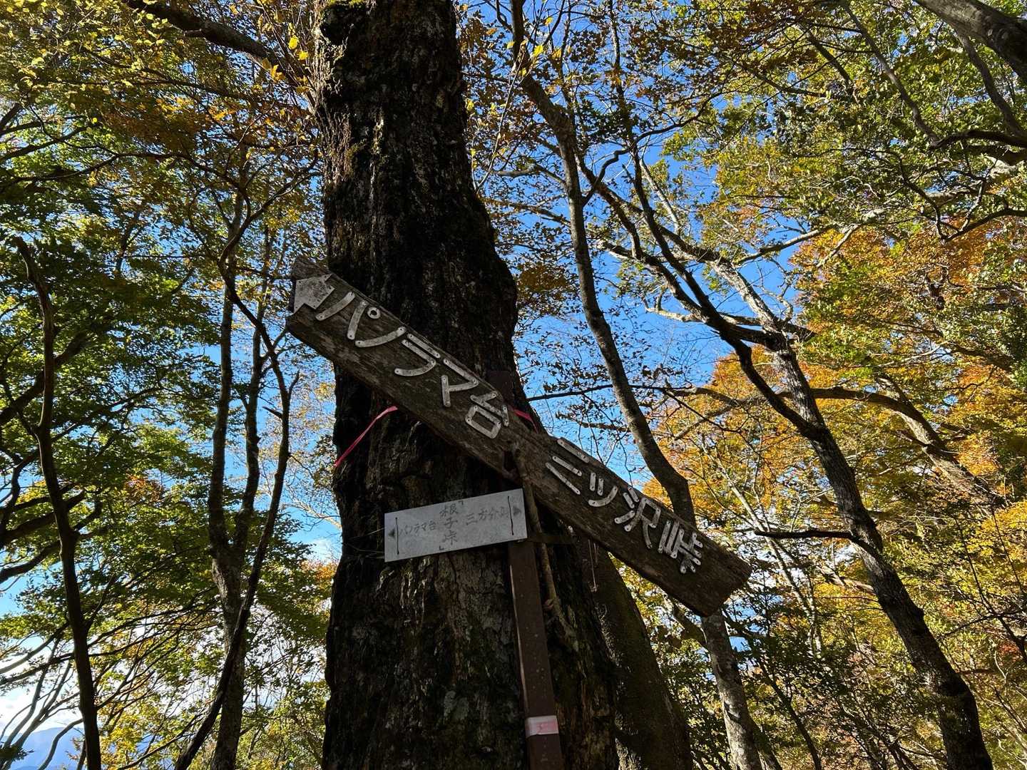 精進湖～根子峠～パノラマ台～中之倉峠～本栖湖の写真