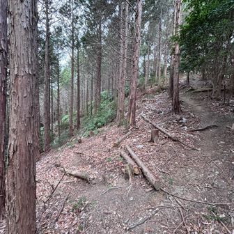 間違えたのはここだな

左が背戸山方面
右が久田野方面