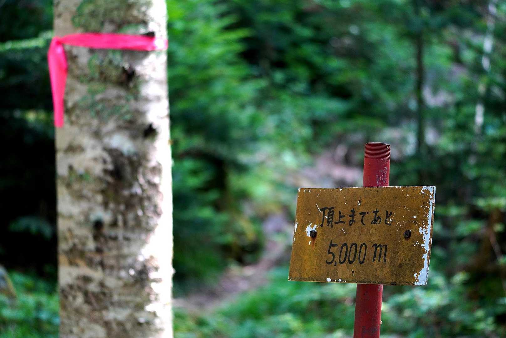 その近くには、あと5,000mの標識。

この山ってば、1キロ歩くのに1時間近くかかるのかな。

一瞬にして浮かれ気分が吹き飛んだ。