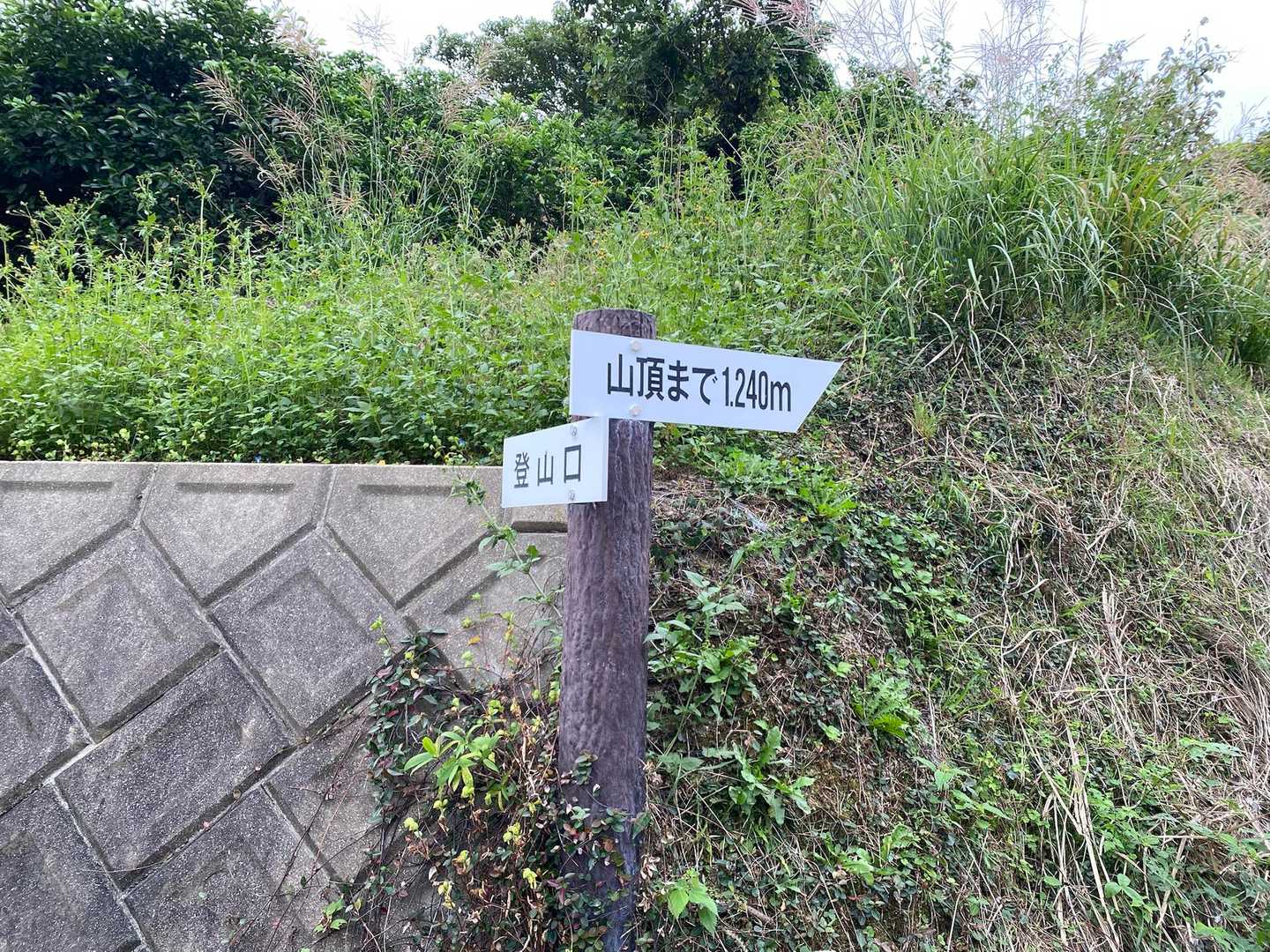 今日の私には長い道のりです