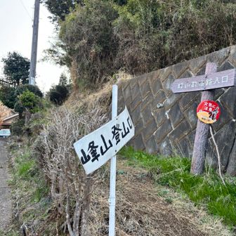 急降下して30分で下山
結構危ない道でしたよ