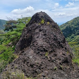 往路、屏風岩から獅子岩へ。
岩尾根を巻いて、振り返って岩尾根を見る。