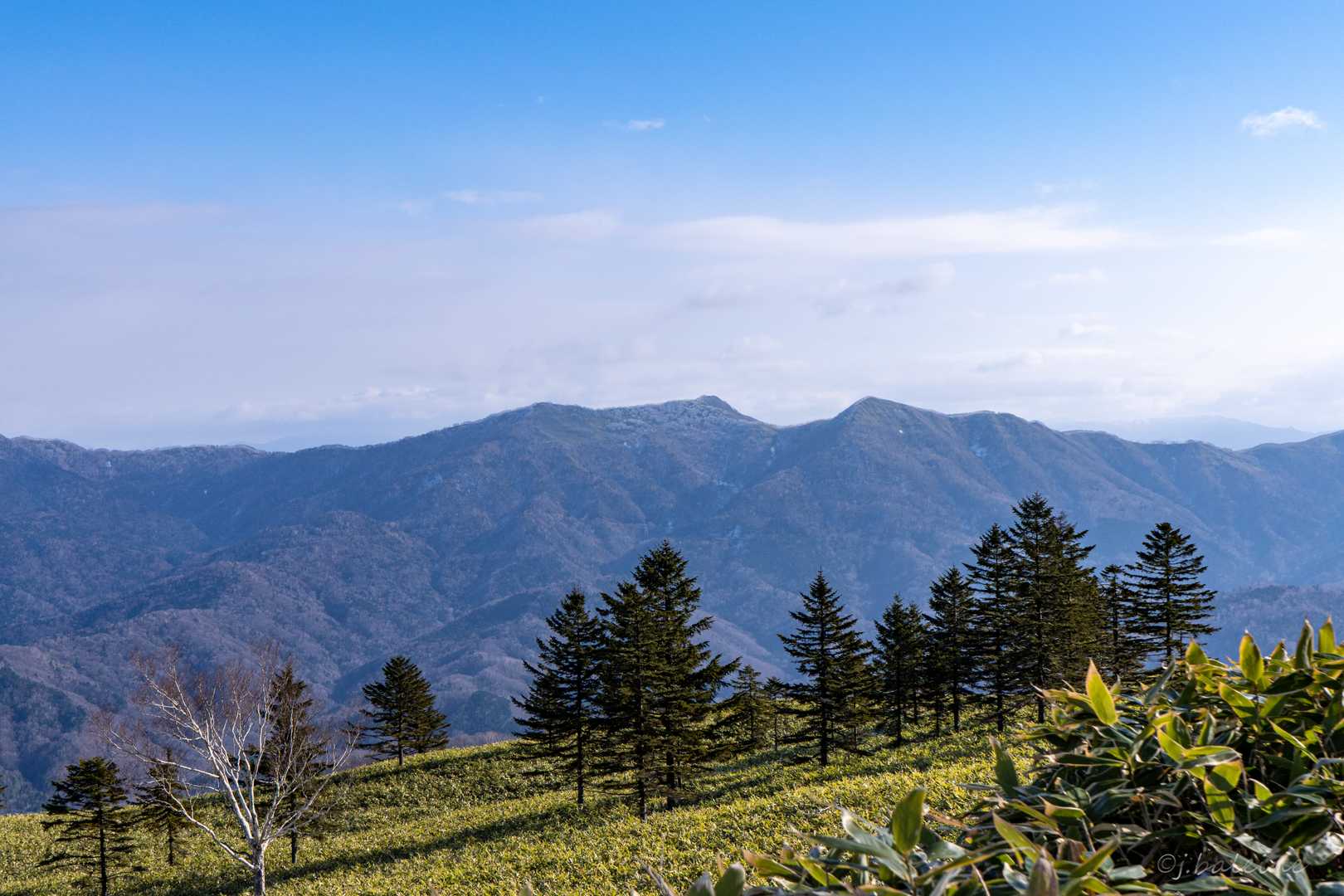 左手に見える山並み。