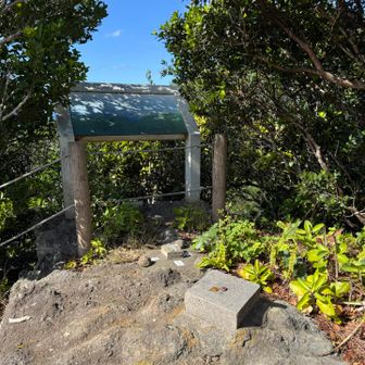 桑ノ木山山頂に到着。