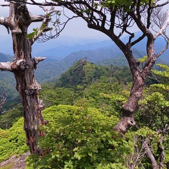 お姫さんの山頂からの眺め。
私達が五葉岳山頂で遊んでた時、ここから女性陣はメッチャ叫んでたのか💧
騒がしいお姫様だ。