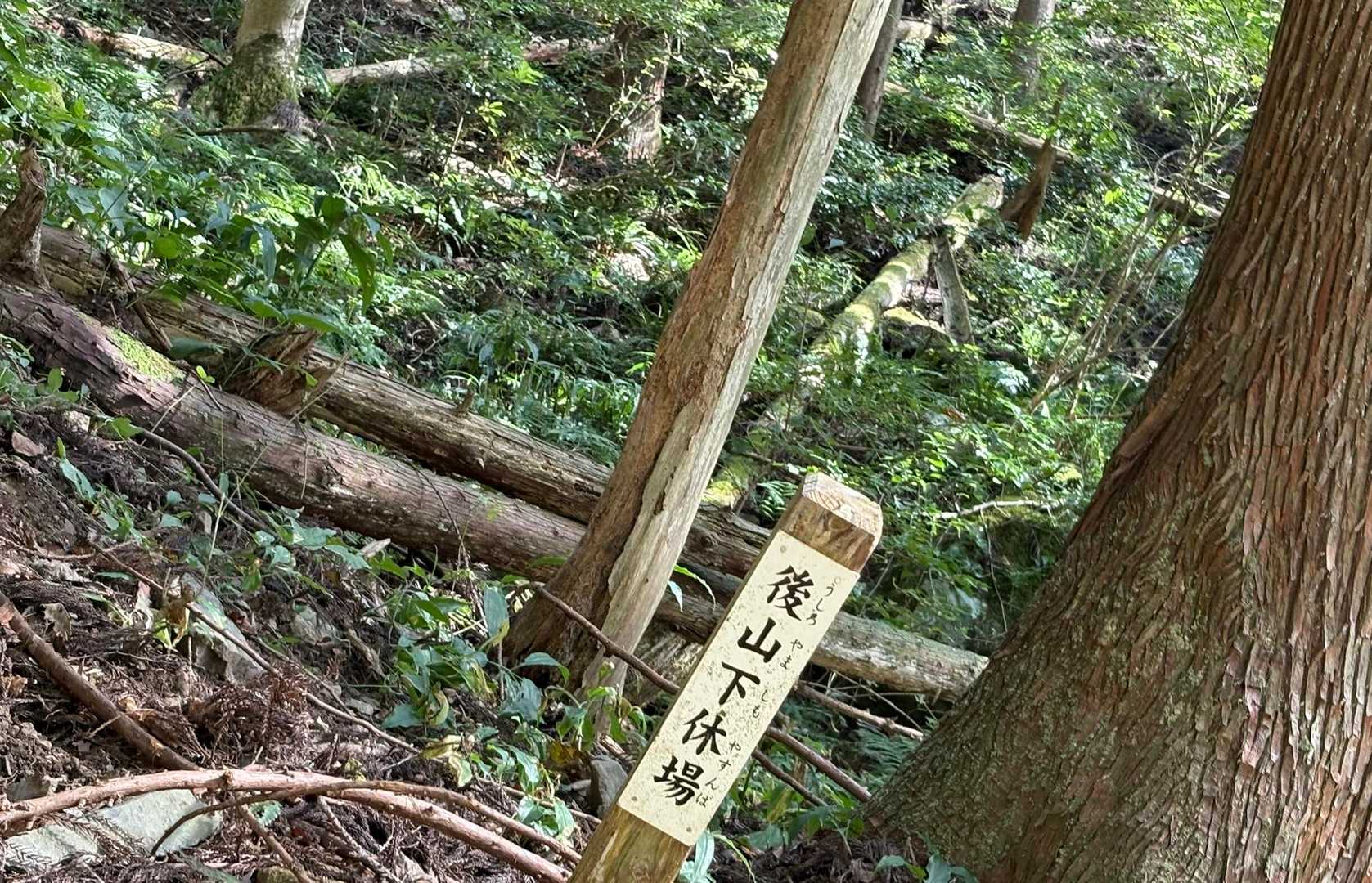 休むほどの場所は　確保出来ないけど…