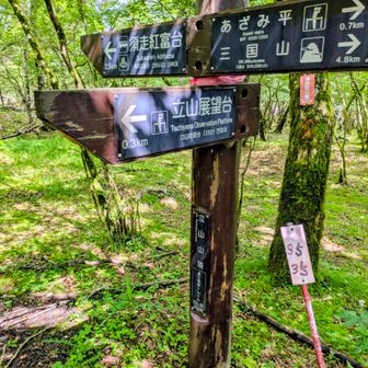立山展望台まで行ったが展望は最後までなかった😞
