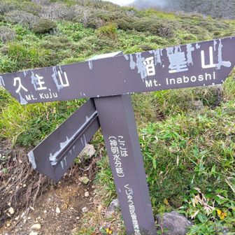 稲星山下山の分岐点
久住山を目指します。