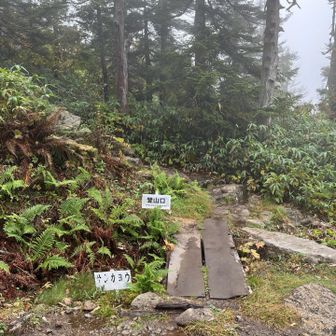 ここから西吾妻山の登山口です🥾