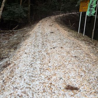 桧のウッドチップを敷き詰めた道