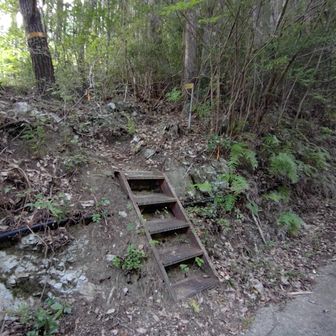 鉄の梯子段を降りていったん林道に出ます。