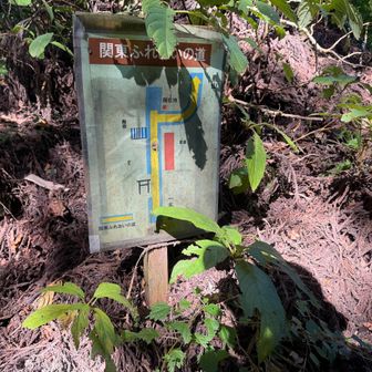 多分この辺が加波山山頂なのだと思いますが、結局どこが山頂かよくわかりませんでした。

燕山を目指します。