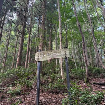 ダンノ峠（ダンノウ峠）到着✨ グレーピークの八丁山もここから取り付くのかな