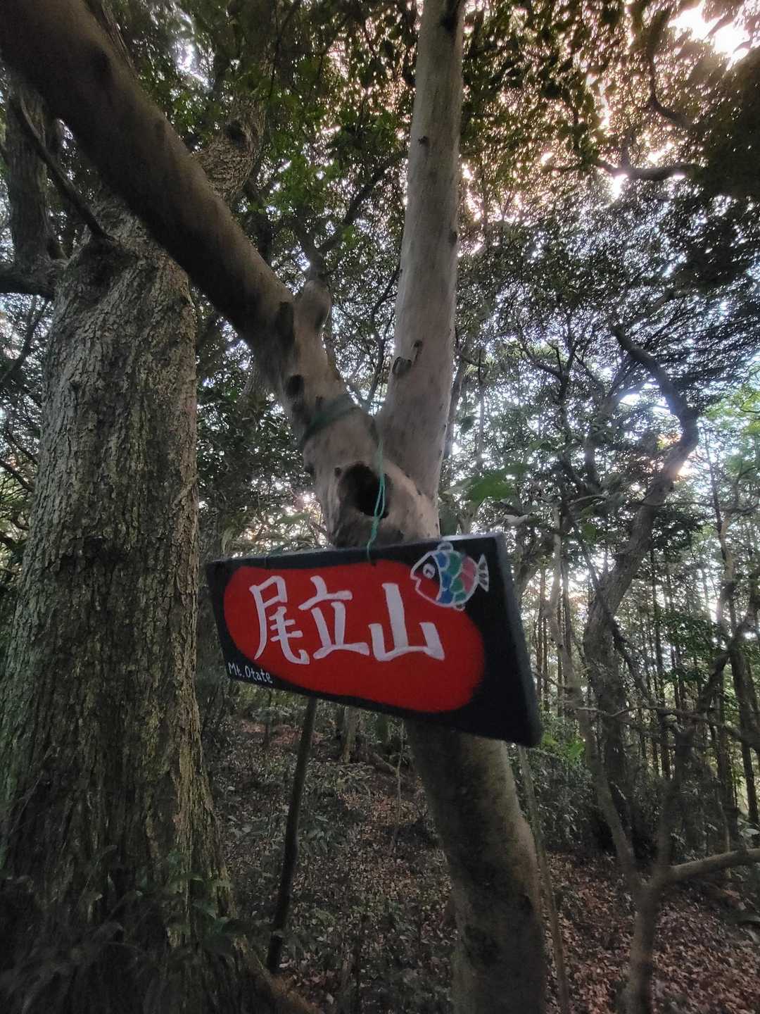 頂上２