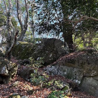 山頂は巨岩ゴロゴロでした