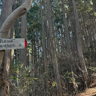 神福山への分岐
🈁を登ります😆