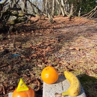 山頂でおやつです