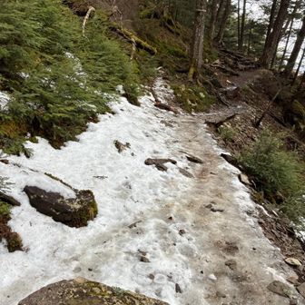この辺りはチェンスパ片手に