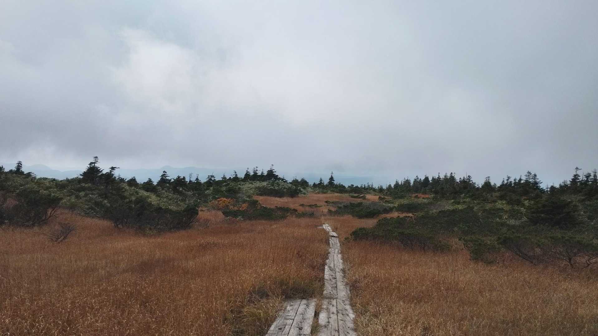 最高ですね