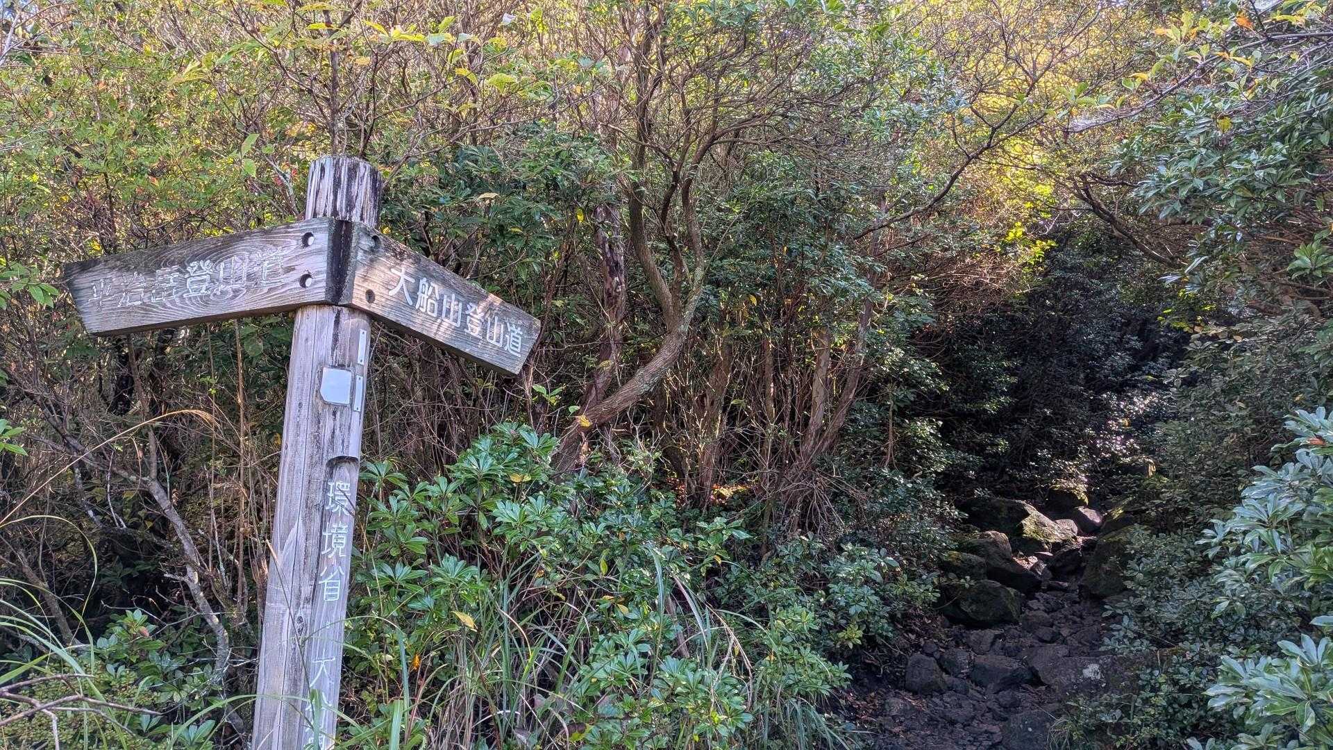ここから本格的な山登りの始まり