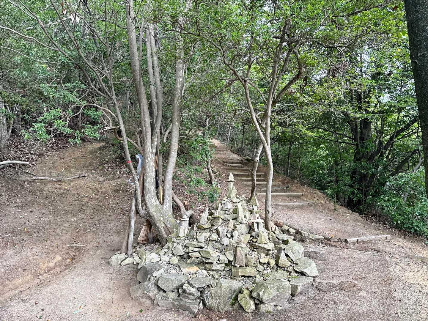 権現山の山頂近くの空きスペースに🚗を停めて、スタートです。