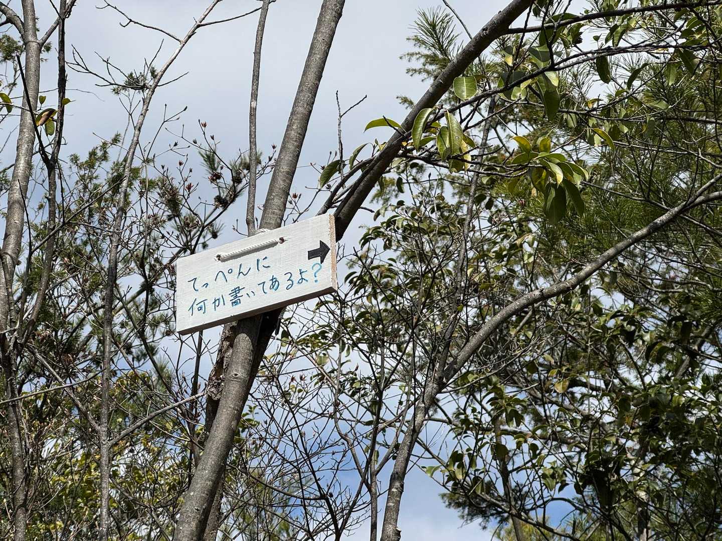 登り返して仏平山の稜線に出ると　なになに？