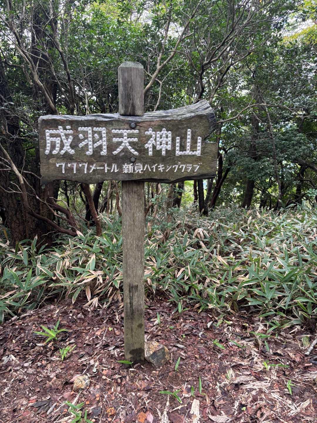 天神山-天満神社 往復コースの写真