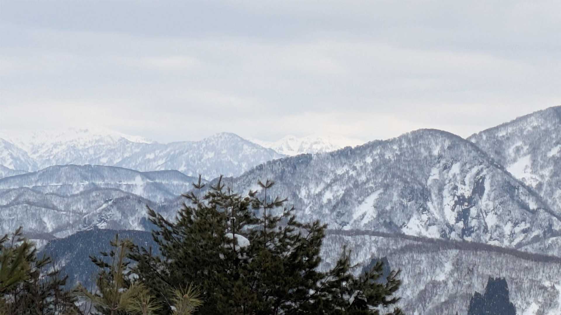 白山チラリ✨🏔️