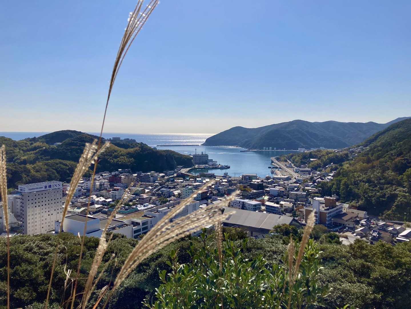絶景ポイント　ススキと厳原の街