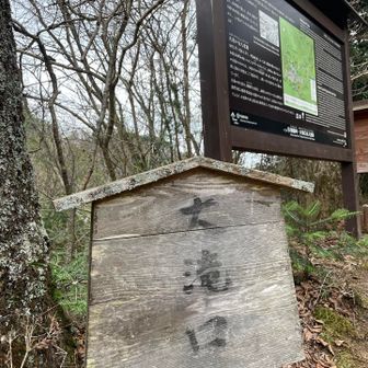 ろくろ峠（大滝口）に到着