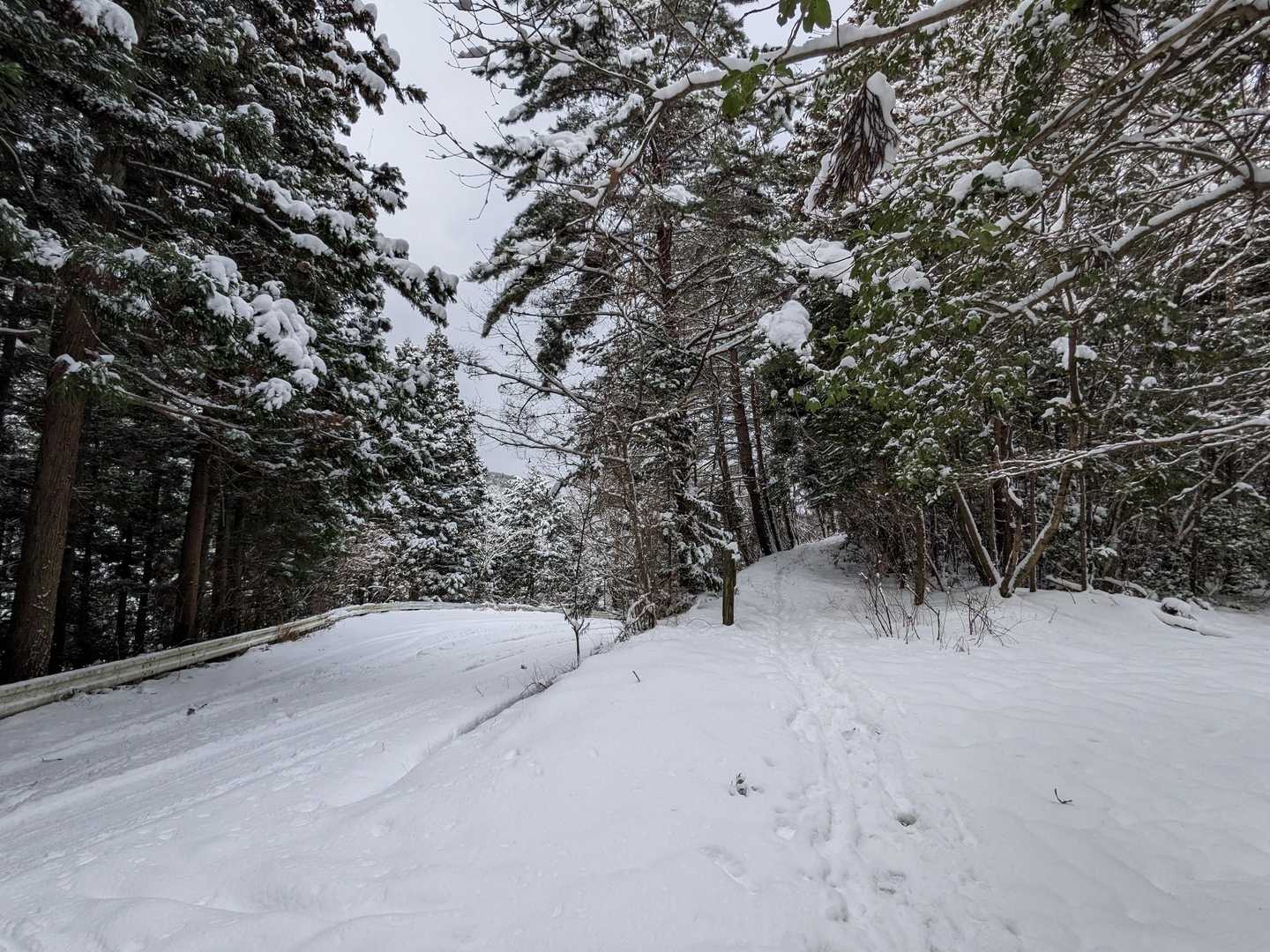 美女山をトラバースして、あっという間に車道まで帰ってきました。