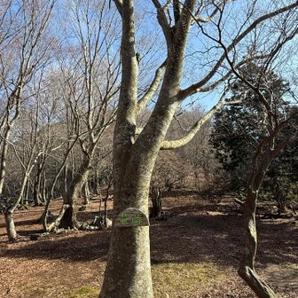 笹峠到着。天気良き。