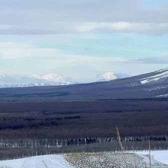 でも、阿寒の山や、