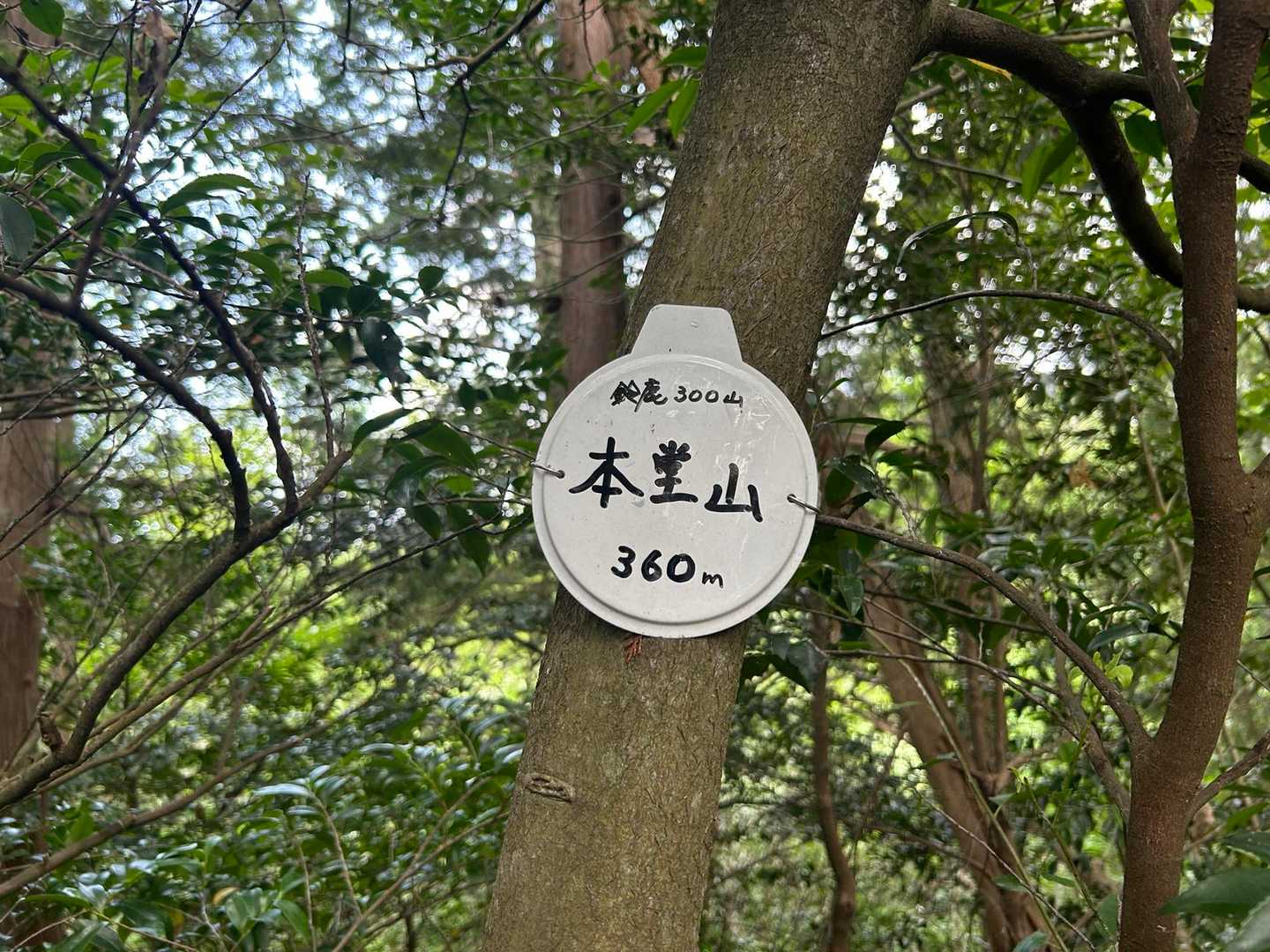 双子の父さんの行動範囲…素晴らしい👍