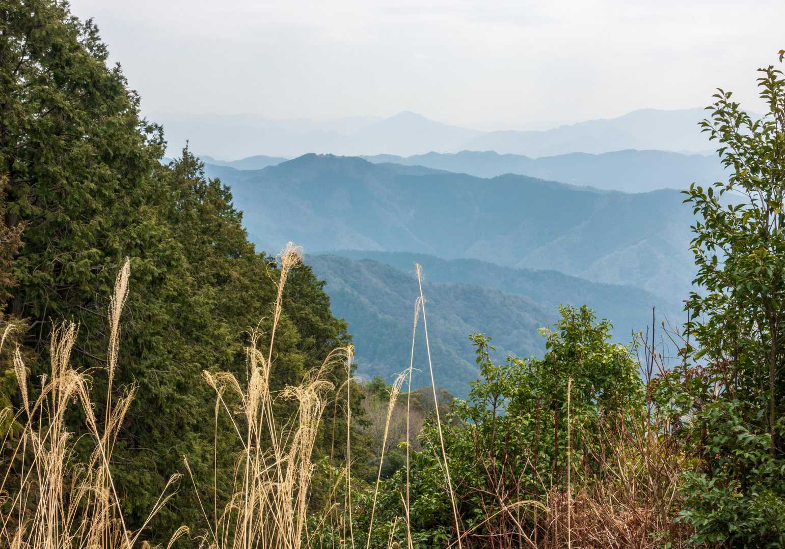 中津山方面