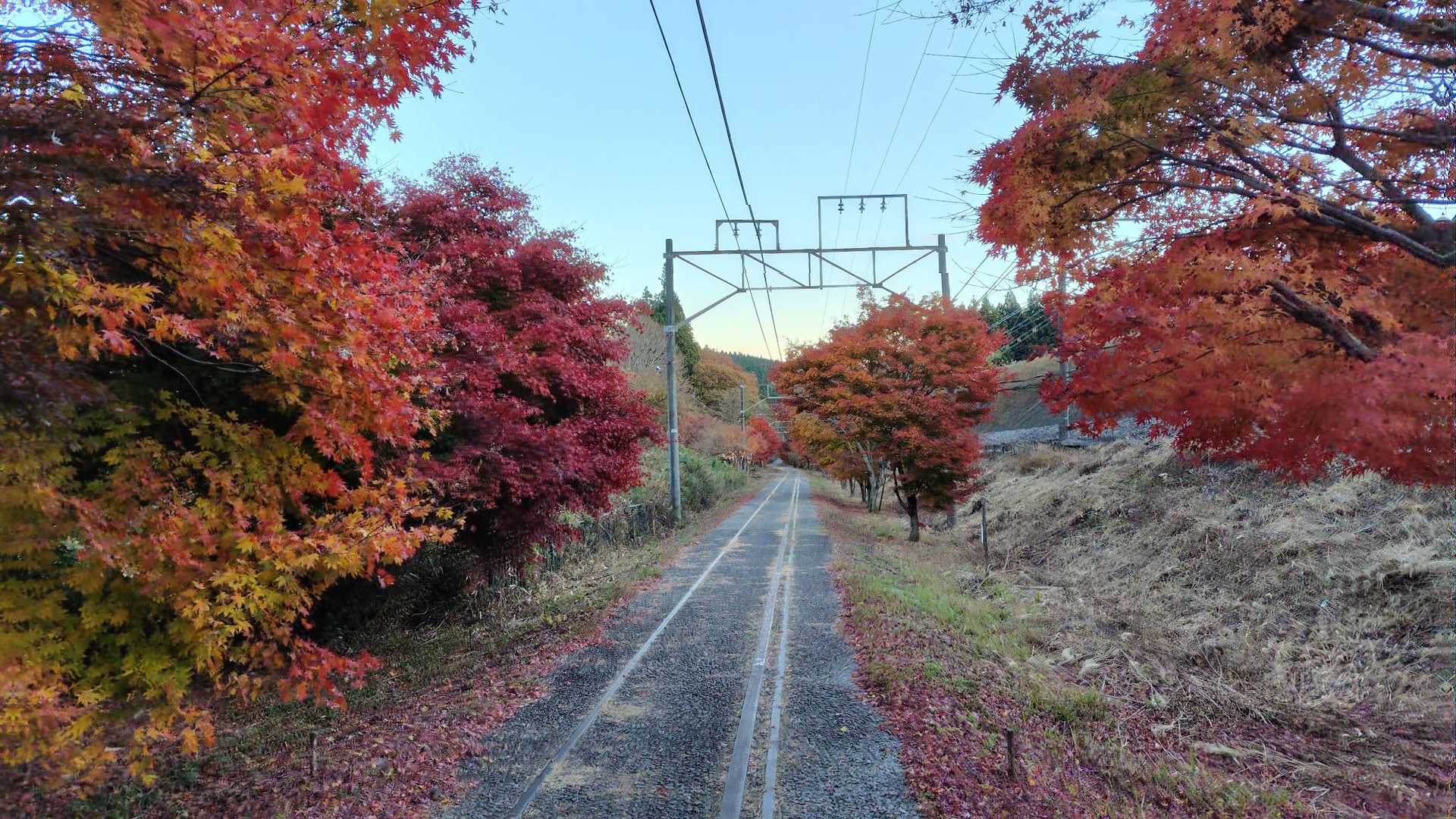 峠の湯あたりは🔴紅葉が見事
歩いていて飽きません😉