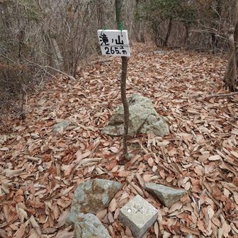 滝ノ山山頂