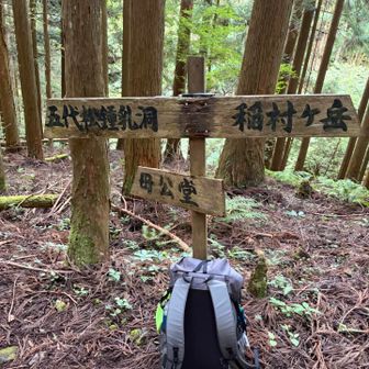 もう少し🚶