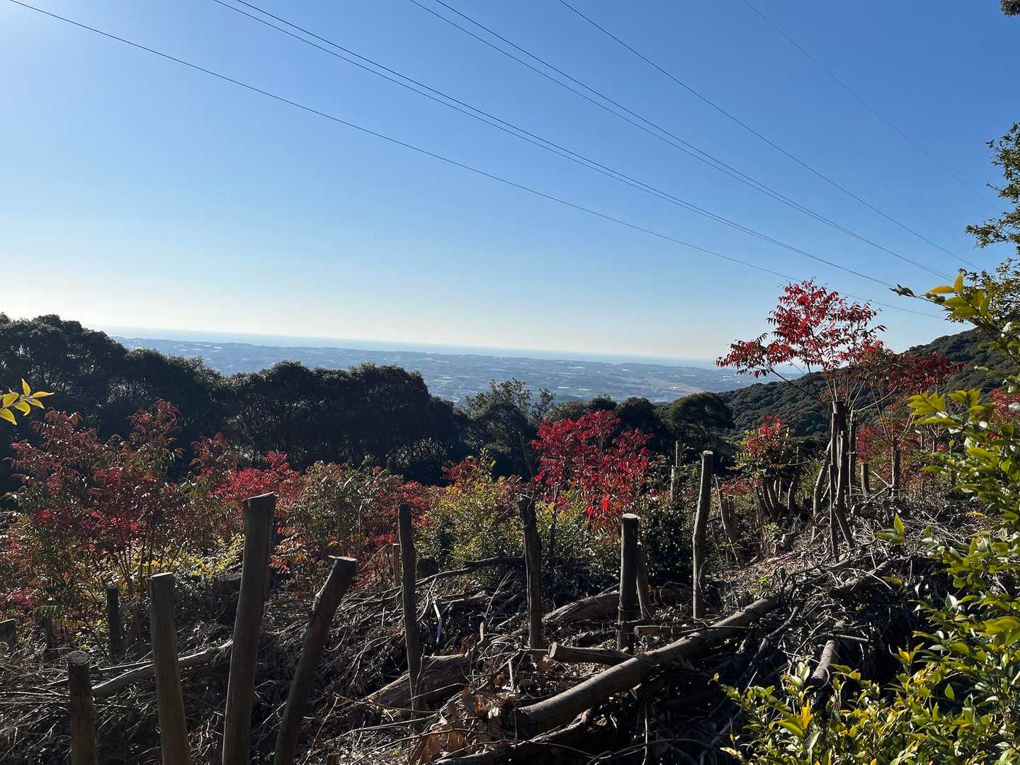 葦毛湿原-座談山-普門寺峠-神石山 周回コースの写真