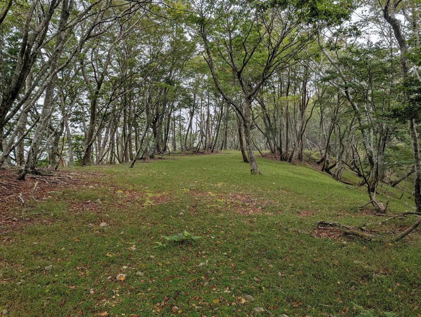 遠見山登山口-三方山 往復コースの写真
