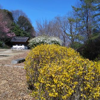 綺麗に手入れされてます☺️