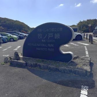 やっと帰ってキター⤴️