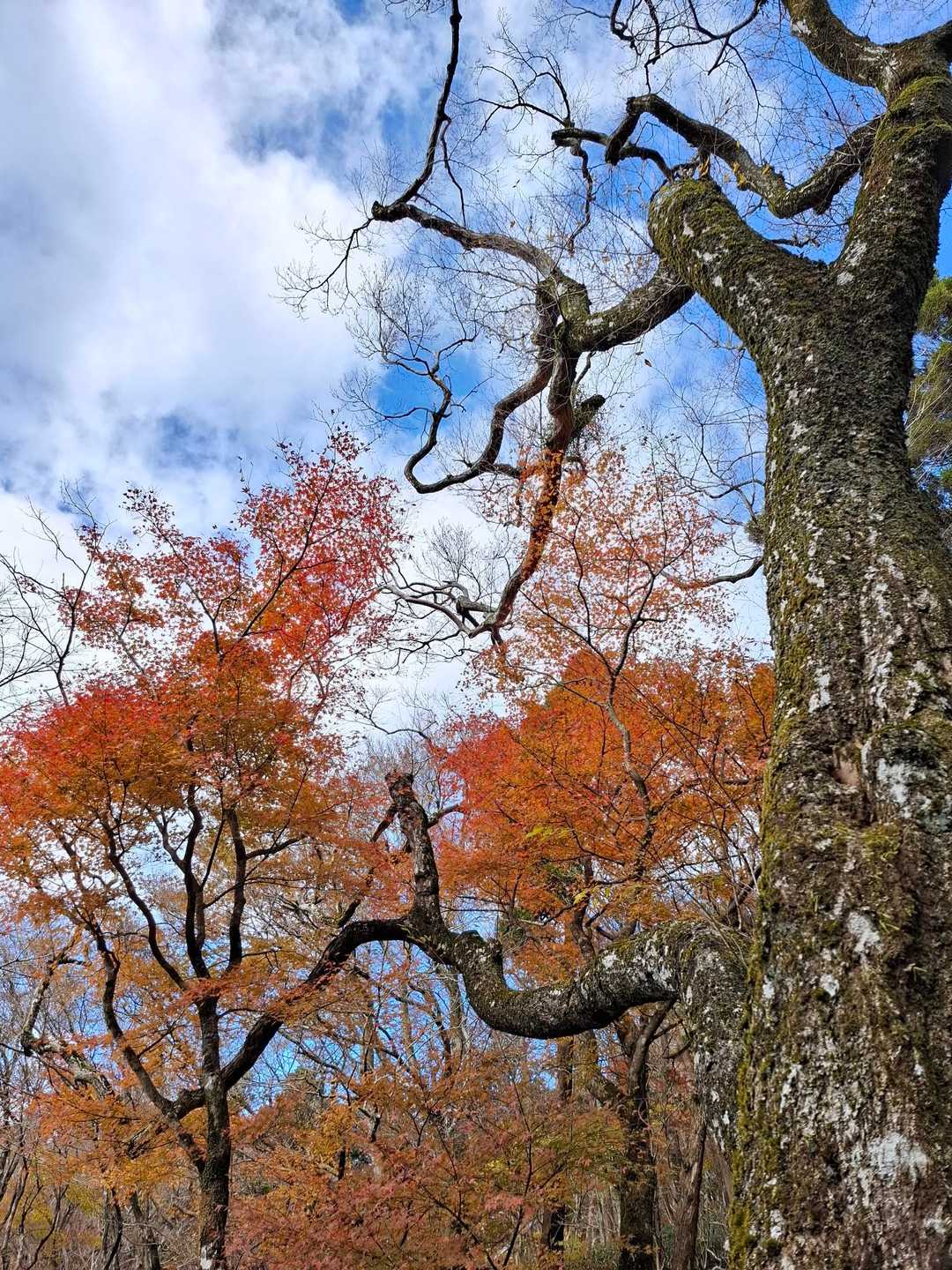 生命とお化粧てきな