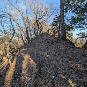 天に向かって伸びる道