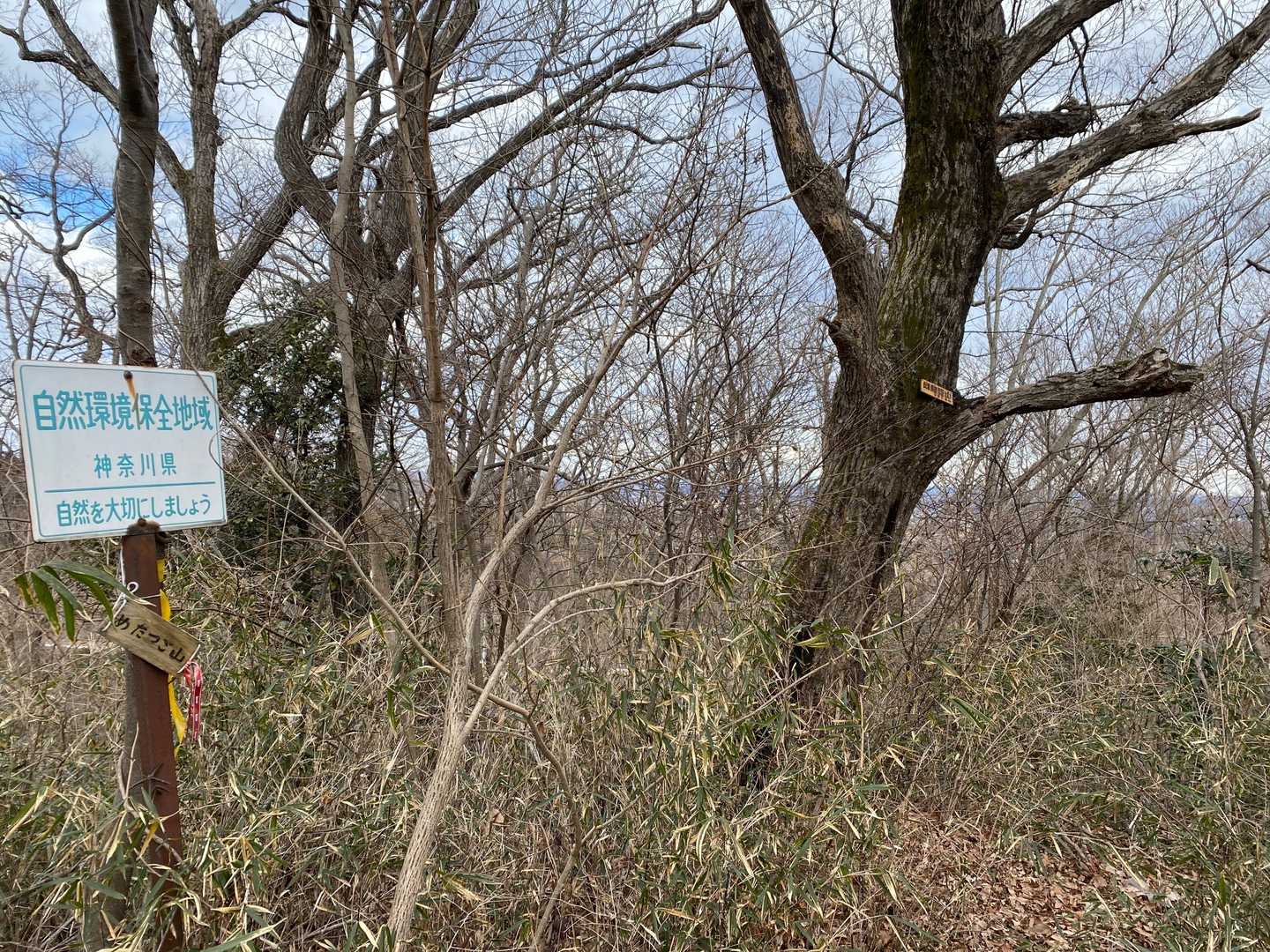 グーグルマップには、物好きの自己満足の山頂と口コミが書いてありますが、、その通りです。