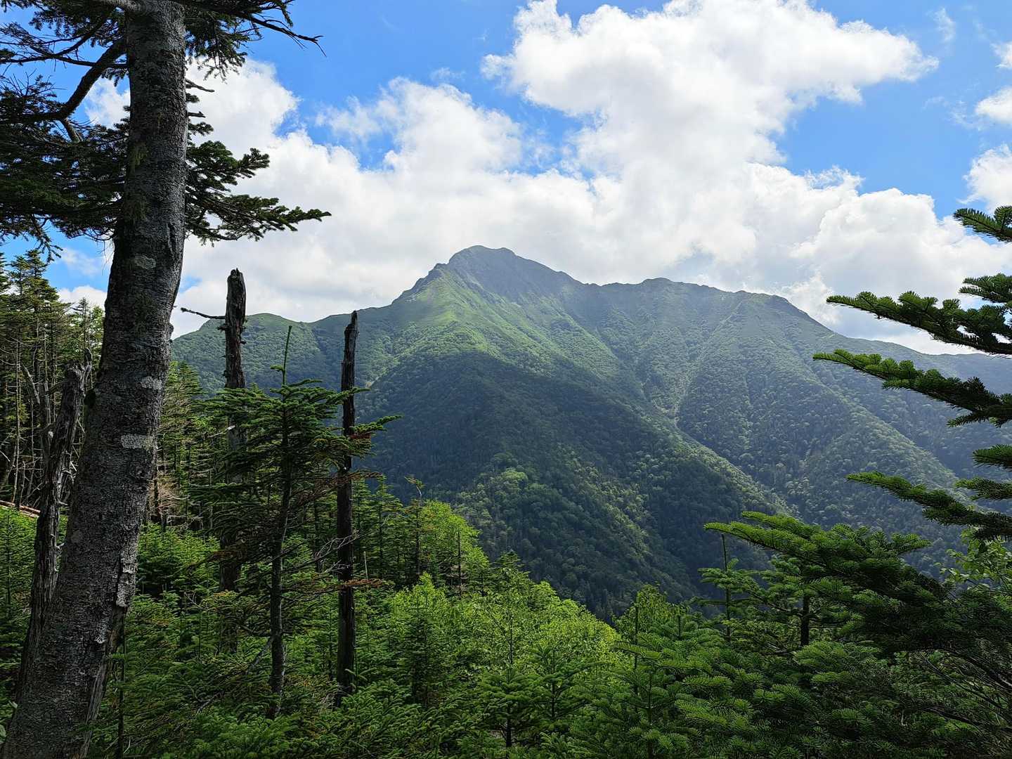 本谷山を過ぎたあたりより
塩見岳を眺める

塩見のお姿
また変わりますな😊