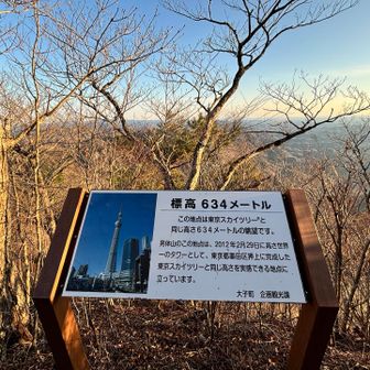 スカイツリー634mと同じ眺望、と言うならもう少し見渡せる様にしたら良いのに