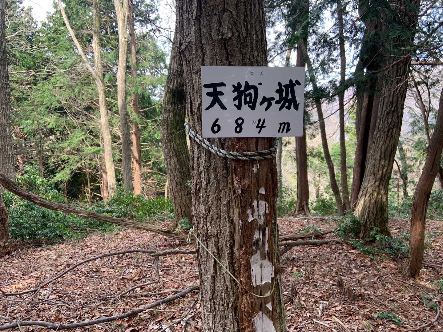 天狗城-松宇土 往復コースの写真