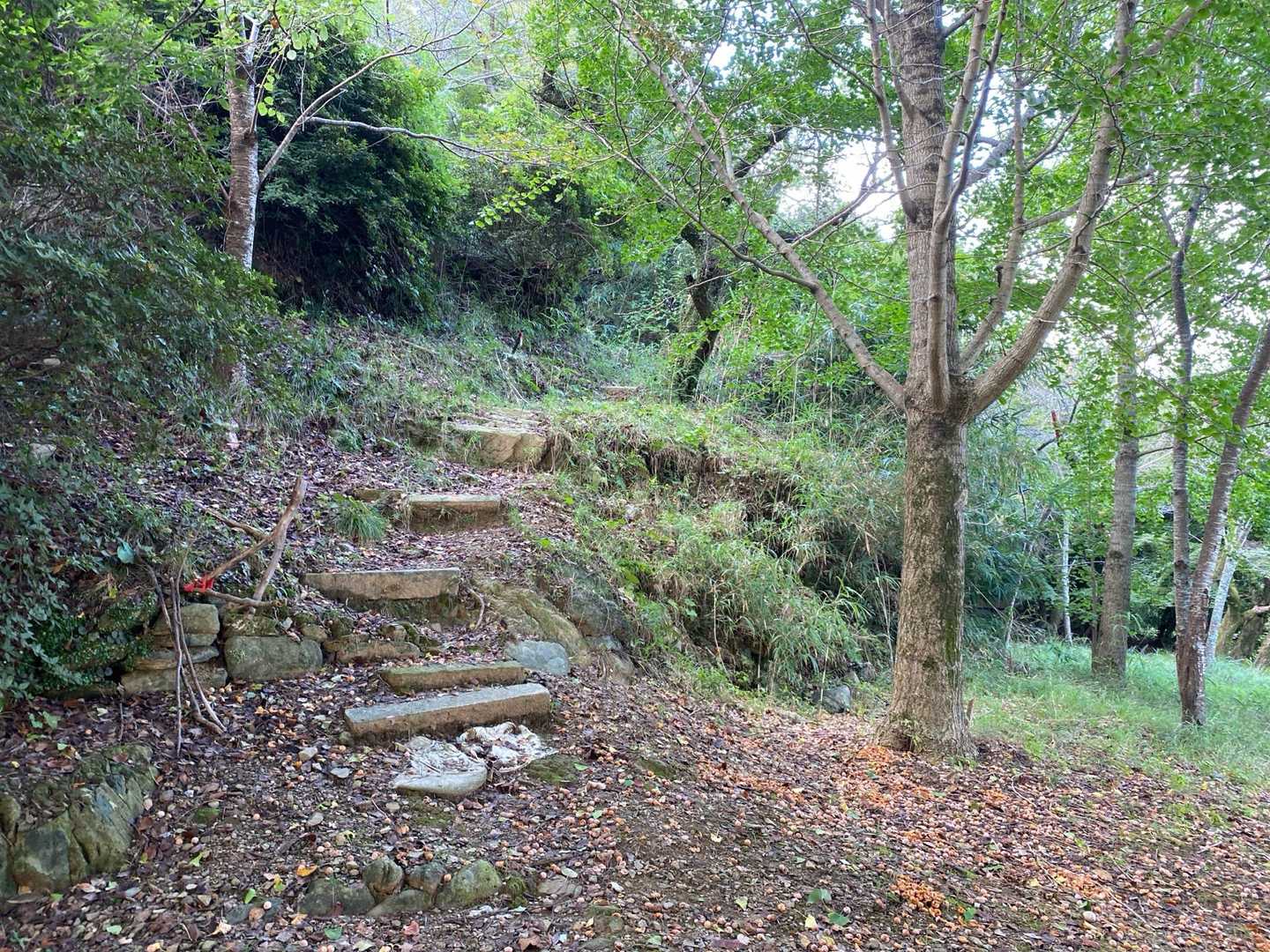 登山口